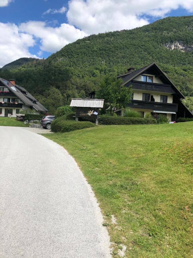 Apartment In The Heart Of Nature 보히니 외부 사진