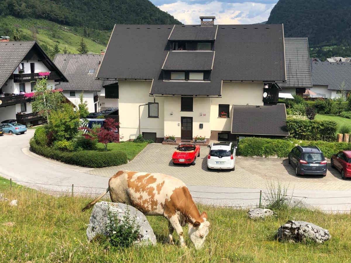 Apartment In The Heart Of Nature 보히니 외부 사진